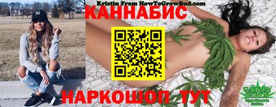 кокс Кингисепп